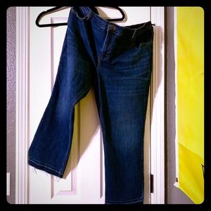 Old Navy Flare Ankle Blue Jeans Size 18